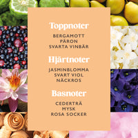 Sunset in Sorrento Edt