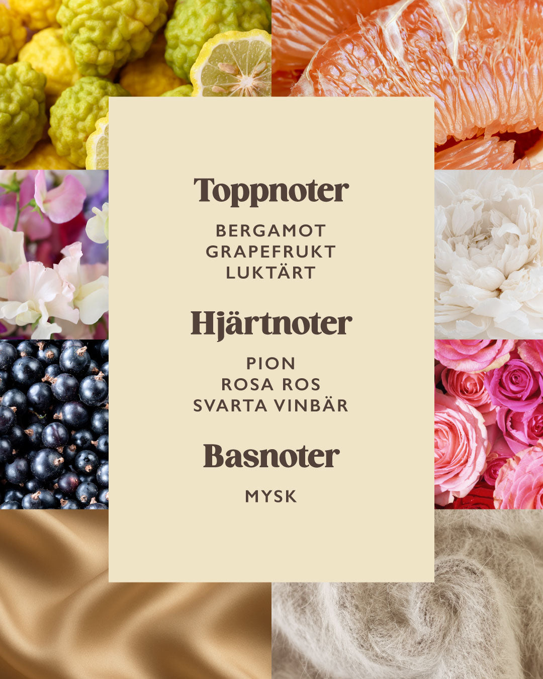 Secrets of Siena EdT